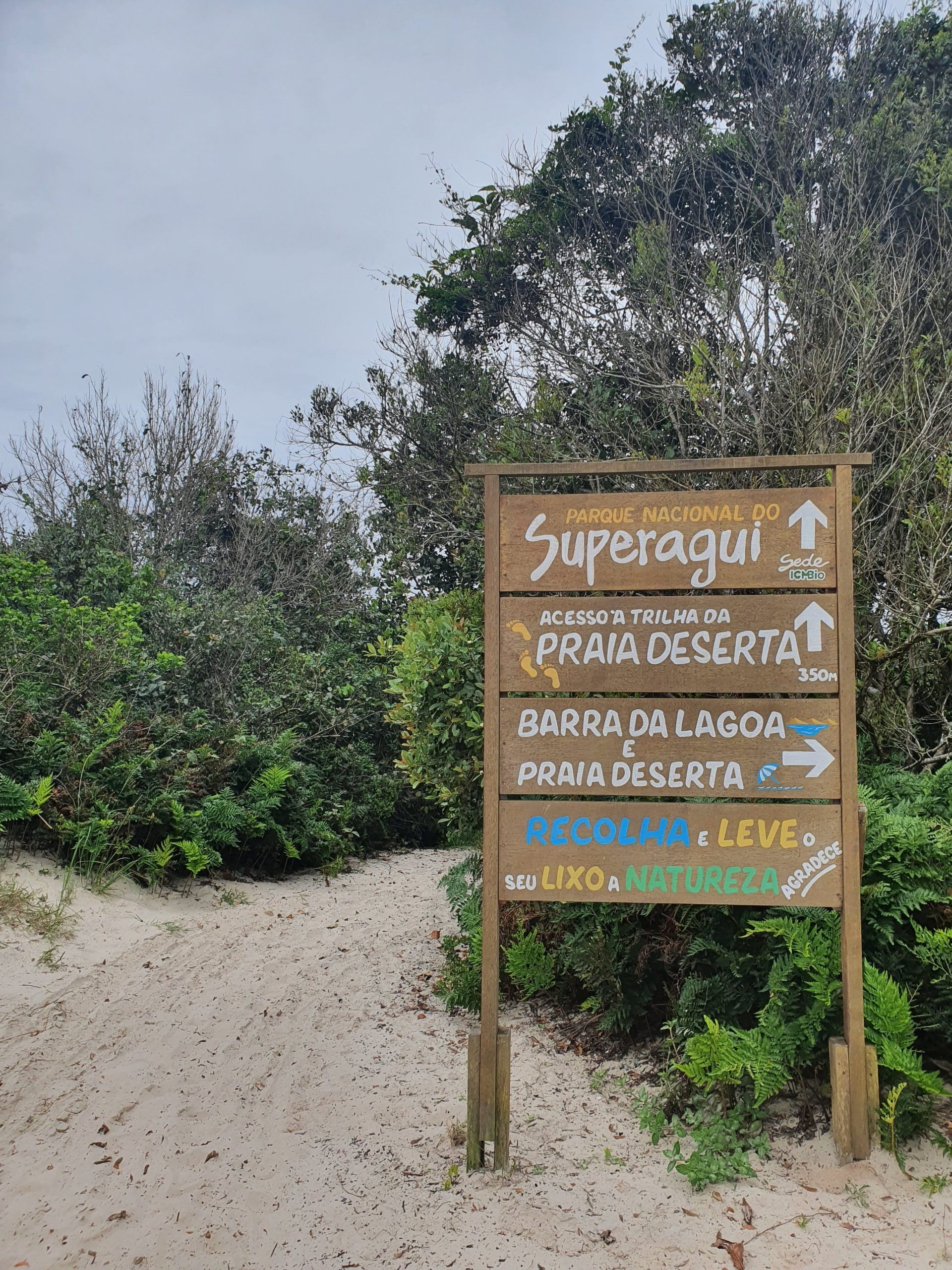Parque Nacional do Superagui: guia completo para visitar