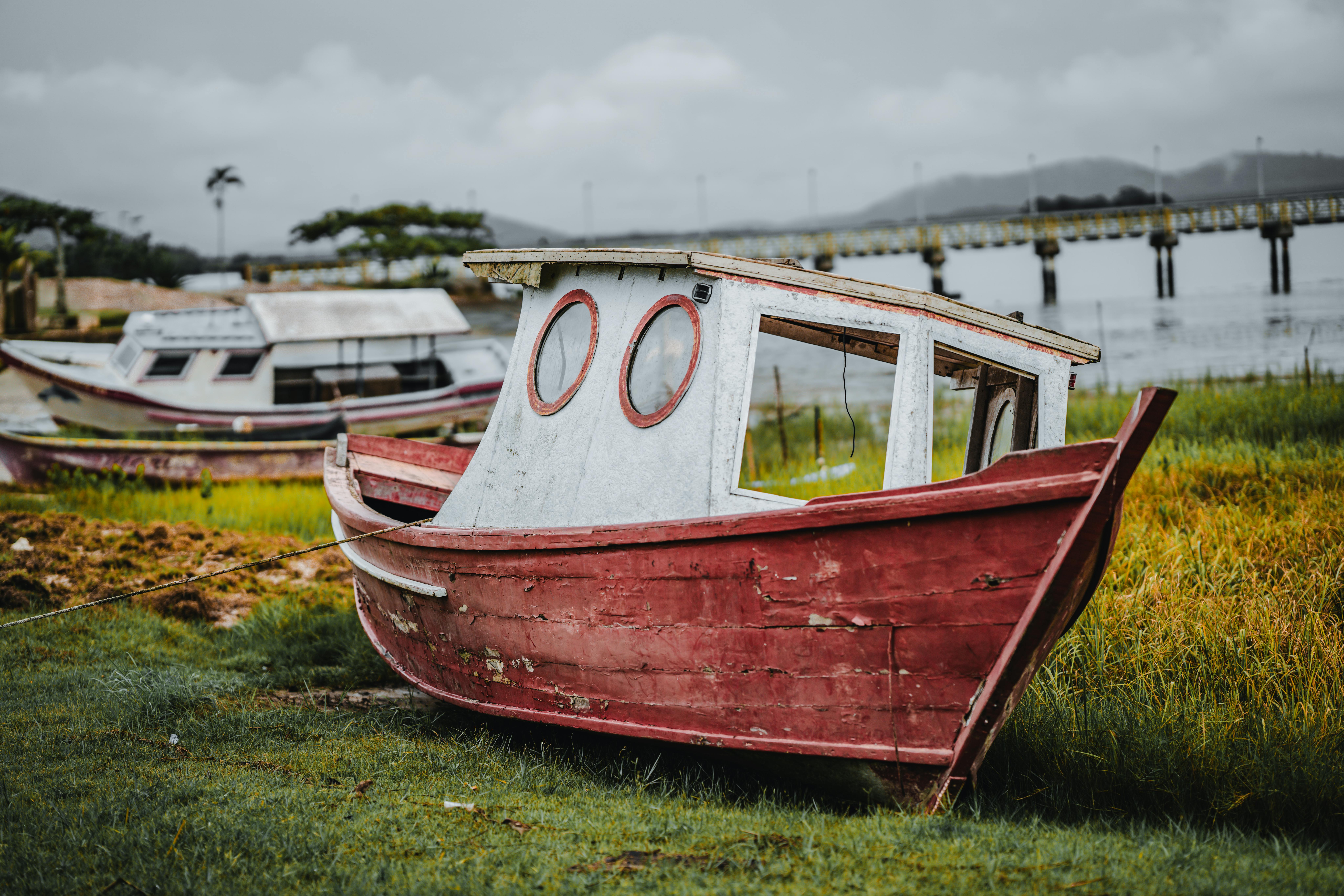 Passeios de Barco em Paranaguá: Experiência Inesquecível